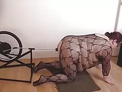Межрассовый ҷинсӣ масов, дучархаи