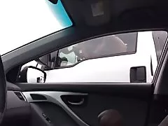 Ӯ метавонист